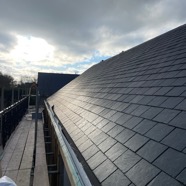 IMG_7510 Scott roof.jpg