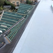 IMG_6697-Scott roof.jpg