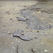 scott-old-flatroof (1).jpg